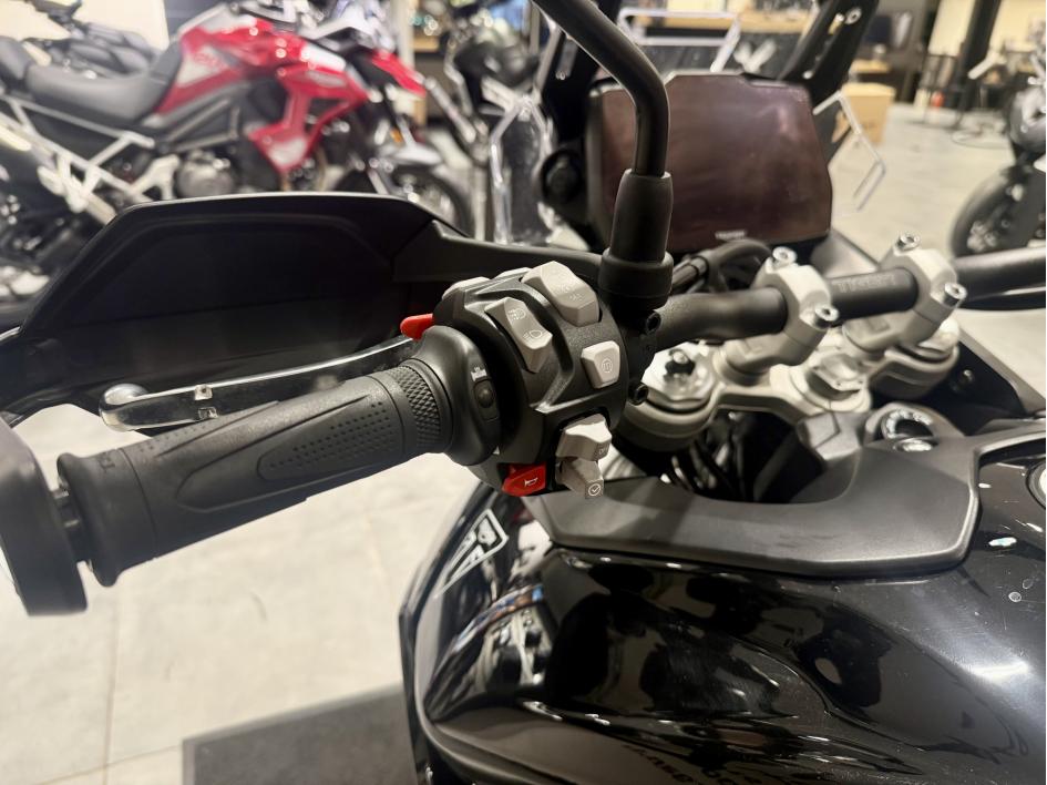 TRIUMPH Tiger 900 GT PRO A2