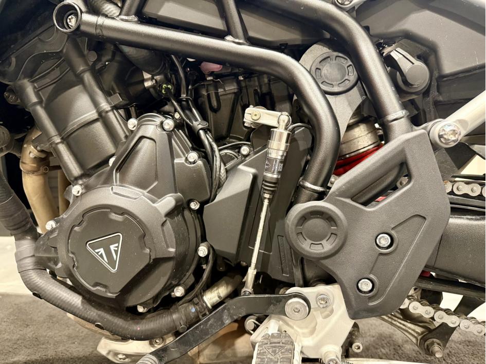 TRIUMPH Tiger 900 GT PRO A2