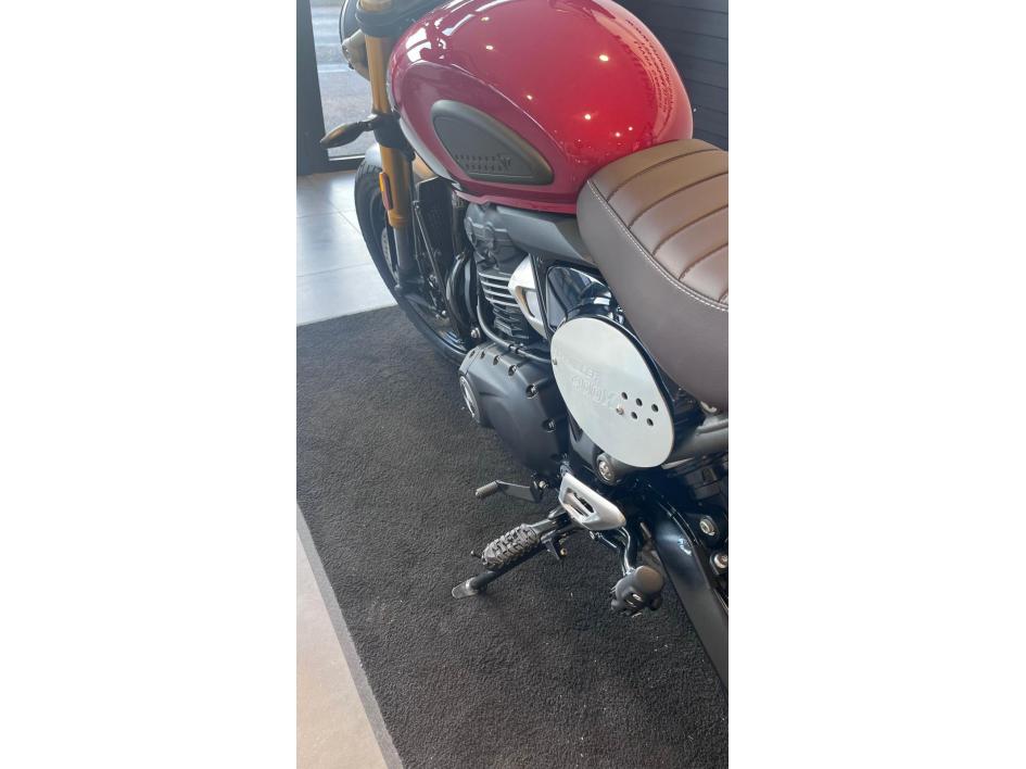 TRIUMPH Scrambler 400 X